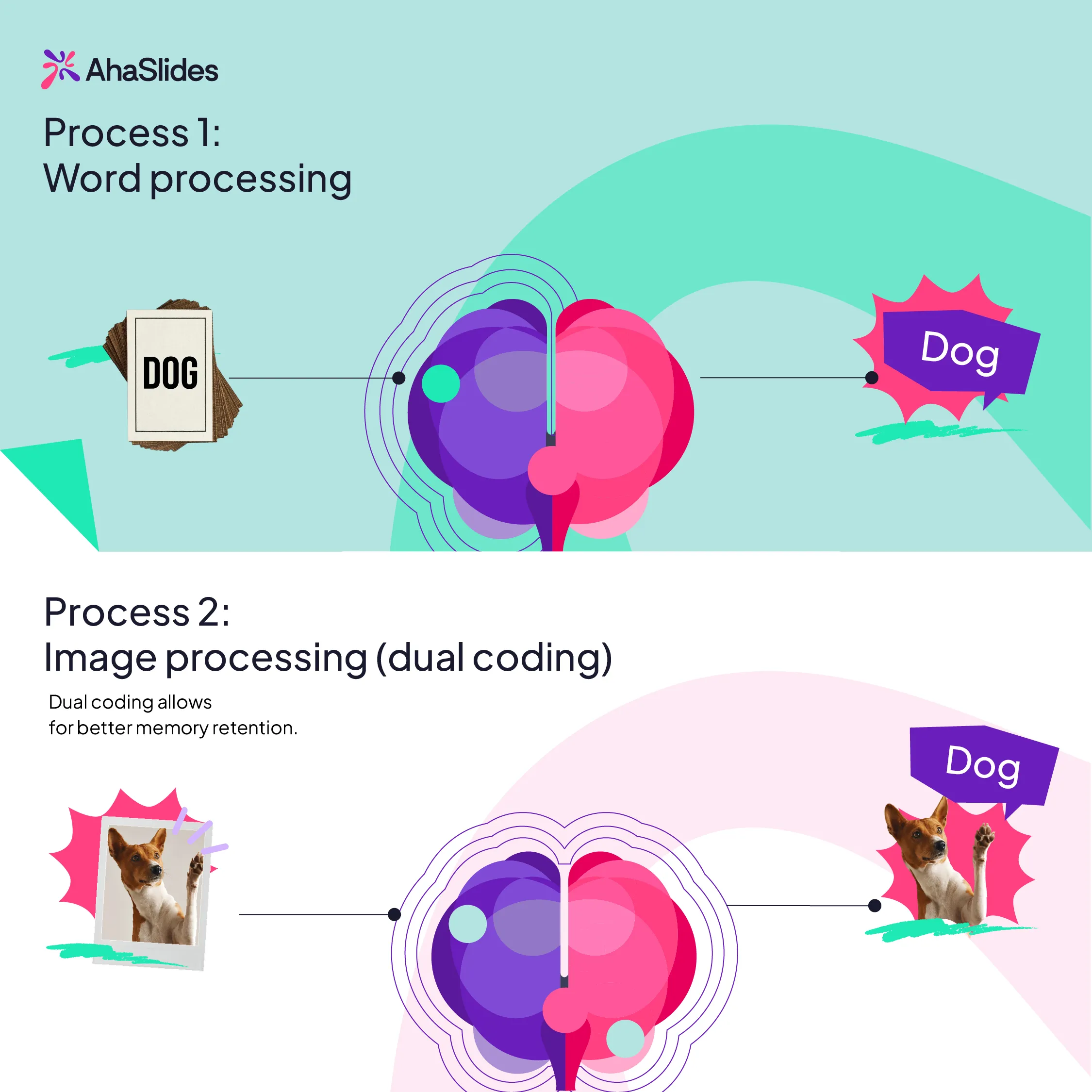 Image describing how dual coding works for memory retention