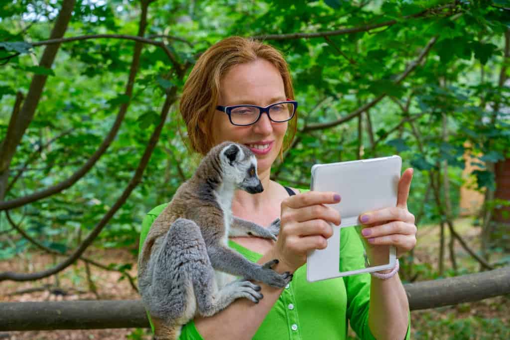 Woman at a zoo holding her phone while a ring-tailed lemur climb on her shoulders.
