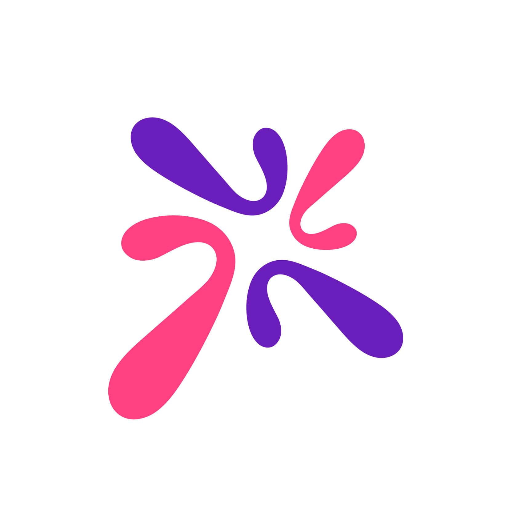 작가의 초상 사진