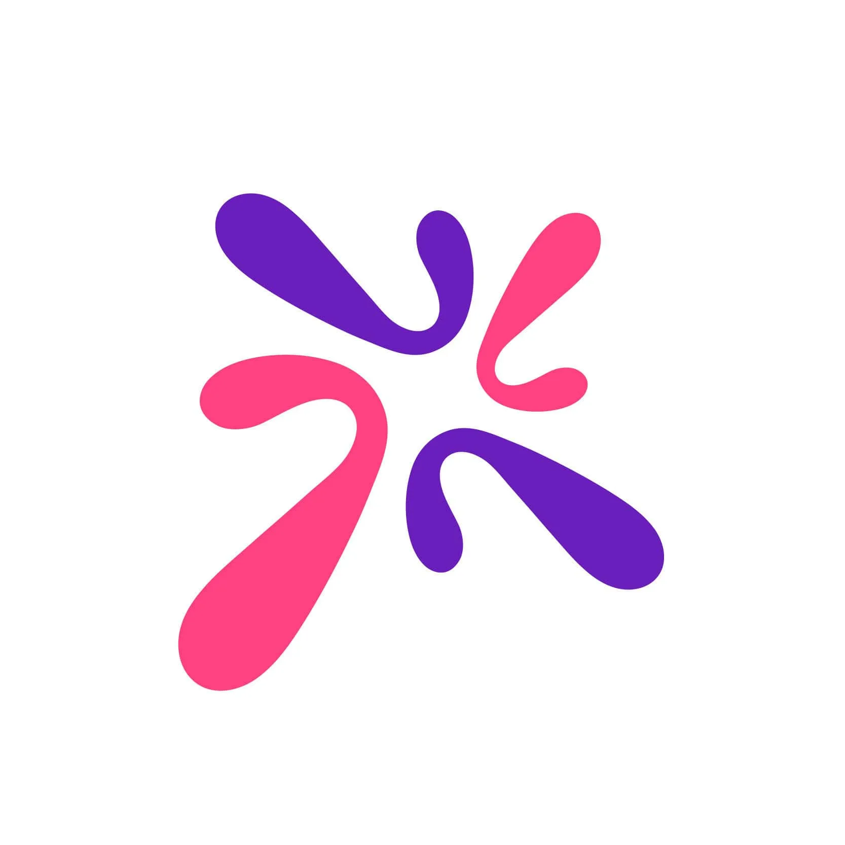 작가의 초상 사진