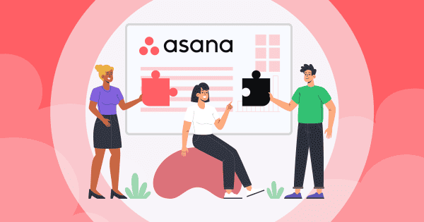 Asana Project Management
